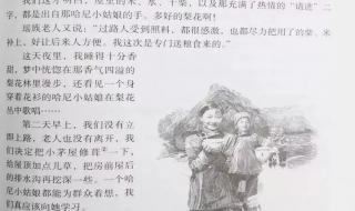 杨利伟的太空一日 杨利伟的太空一日